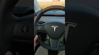 Comenzile unei Tesla Model 3 2021