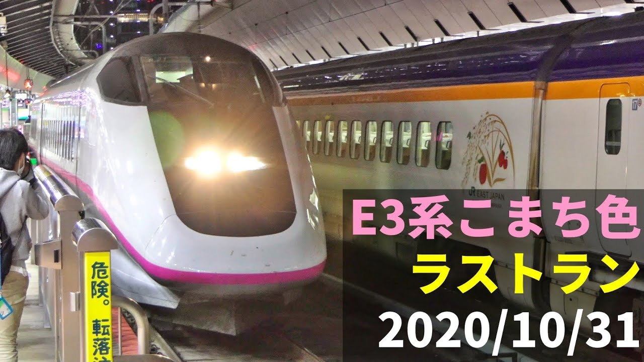系こまち色編成 定期運用ラストラン 東京 Youtube