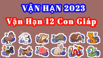 Vận Hạn của 12 Con Giáp trong năm 2023 chi tiết - Vận Hạn 2023