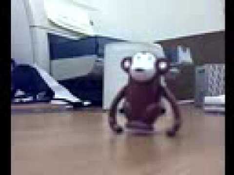 Desk-monkey
