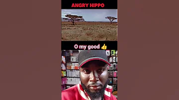 O My Good Animals Youtube Wildlife 