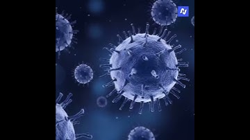 Video: 3 things you should know about... Nipah virus, the next pandemic?