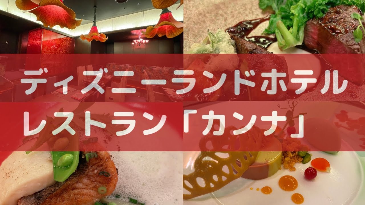 Vlog ディズニーランドホテル Canna プリンセスのランチコース メニュー詳細 Youtube