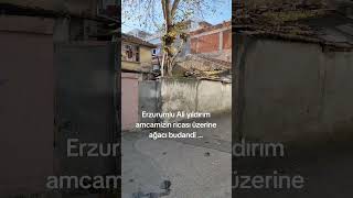 Erzurumlu Ali Yıldırım Amcamizin Ricası Üzerine Ağacı Budandi ... Ildırımbelediyesi