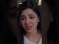 Masoom Last Episode | Best Scene #imranashraf #masoom