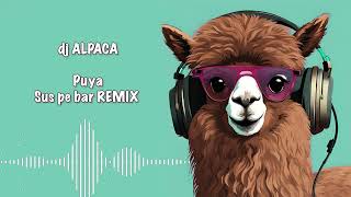 Watch Puya Alpaca video