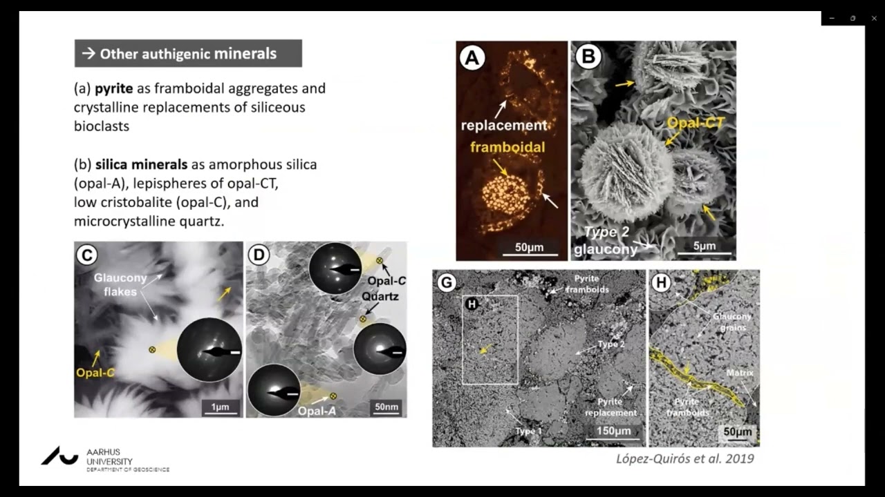 Antarctic ice sheet behaviour from marine and terrestrial records (Session 2)