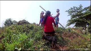 Wow Amazing Beautiful Girl Playing With Dog Smart & Funny Dog Part07