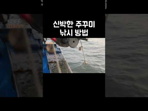 주꾸미 낚싯배에 조개 껍질만 한가득 올라오는 이유 #shorts