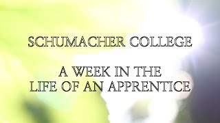Schumacher College: A Week in the Life of an Apprentice