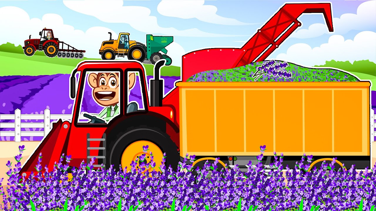 Harvest and Produce millions products of Lavender - Lavender Oil  | Tractor Vehicles Farm Cartoon