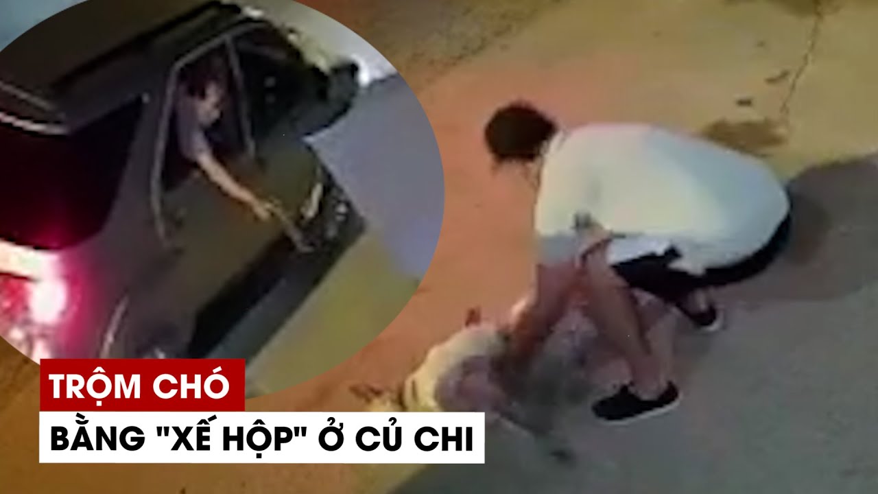 Trộm chó vùng ven ở TP.HCM lái hẳn ô tô đi hành sự - youtube