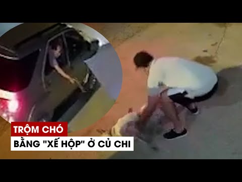 Video Trộm chó vùng ven ở TP.HCM lái hẳn ô tô đi hành sự - youtube