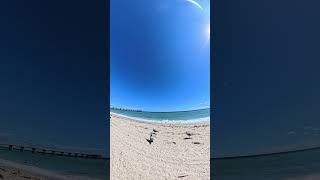 ☀️🌊😎⛱️ 🔊#oceansounds #oceanwaves #floridabeach #beachtime #praias #oceanview #miami #southflorida