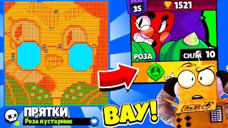 ПРЯТКИ НА КАРТЕ РОЗЫ! НОВЫЙ МИНИ РЕЖИМ BRAWL STARS! КОНЦЕПТ