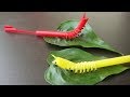 How to make beautiful caterpillar from straws