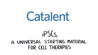 iPSCs, a Universal Starting Material for Cell Therapies by Catalent Pharma Solutions 987 views 1 year ago 2 minutes, 24 seconds