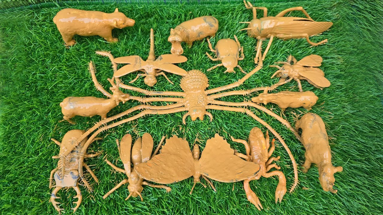 Adventure Timeoutro Insects A Little Explorer’s Adventure into the Wild World of Animals & Insects ...