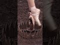 危険な撮影をするバレリーナの末路がヤバすぎる… The shocking fate of a ballerina who took a dangerous photo🩰