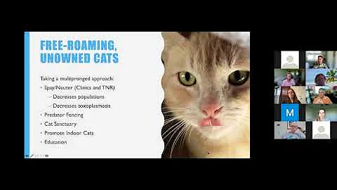 Nicole Shafer-Crane from Kauai Humane Society