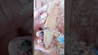 Red Soft 🤎 tiny broken Cleaning video earthy Super Earthy 😋🤤 Scraping 😋 Satisfying Video 🤩🤎🤎🤤 screenshot 3