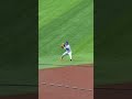 Francisco Lindor makes this play look EASY 🤩 #mets #mlb #baseball #sports #highlights #shorts #rays