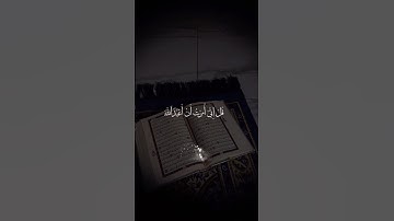 سورة الزمر - ماهر المعيقلي