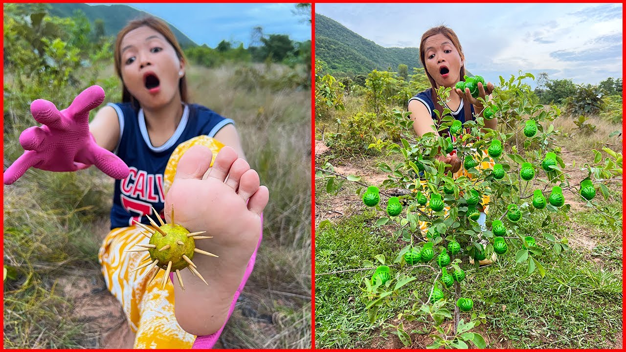 Survival Skills: SMART idea and USEFUL with single mom in forest #buschraft #camping #outdoors #idea