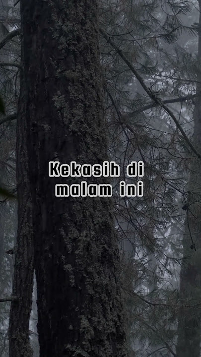 Petra Sihombing - Denting #liriklagu #musicvideo #musikpoplirik #lagutiktok #storywa #denting