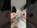 #tâche #asmr #bruit blanc #torchon #ryan 😉😉