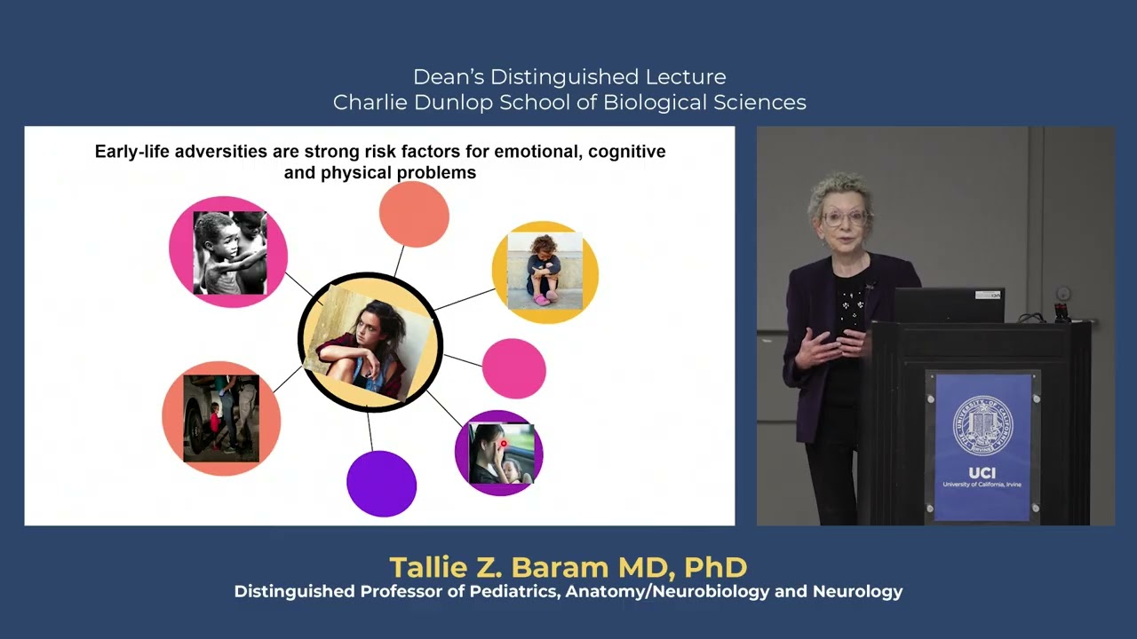 Dean's Distinguished Lecture featuring Tallie Z. Baram, MD, PhD