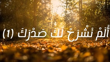 سوره الشرح ⁦❤️⁩ راحه نفسيه⁦❤️⁩