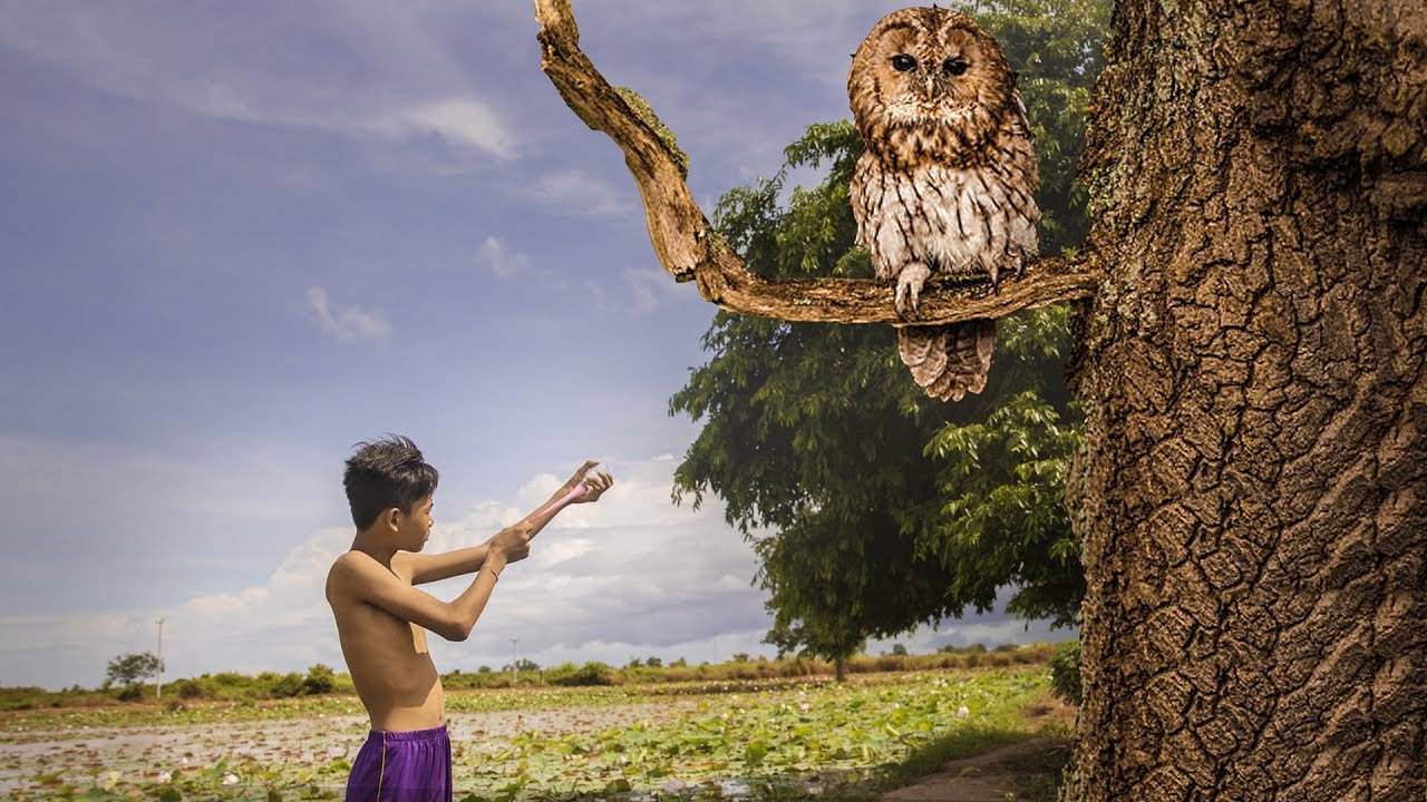 How to Make a Circular Pocket Slingshot for shooting birds