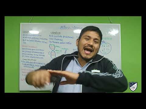 CURSO DE CTA ( CLASE 3)
