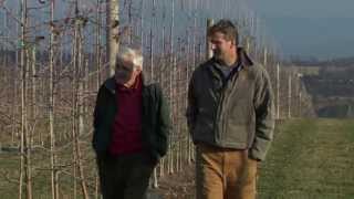 Transferring the Family Farm Business: Sunrise Orchards