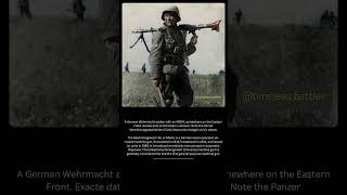 The Gun That Changed Modern Warfare Mg34