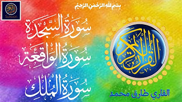 SURAH AL SAJDAH | AL WAQIYAH | AL MULK| #قرآن  #سورة_السجدة #سورة_الملك #اكسبلور