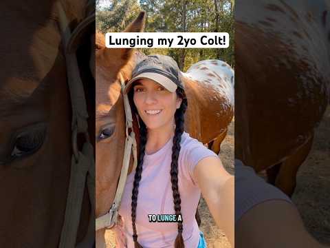 Horses Will Humble You Horse Appaloosa Colt Horses Horsegirl Cowgirl Western Animals Pets