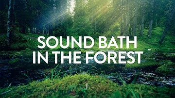 Sound Bath in the Forest ✦ A=432Hz ✦ A Serene Forest Bath Accompanied by Gentle Ambient Tones