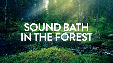 Sound Bath in the Forest ✦ A=432Hz ✦ A Serene Forest Bath Accompanied by Gentle Ambient Tones