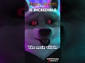 Is Puss In Boots: The Last Wish Shrek's Logan? #shorts