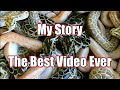 Why You Should OR SHOULDN'T Listen to Me - Who I Am and The History of Jason's Exotic Reptiles
