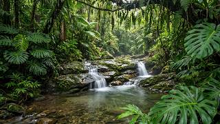 DEEP FOCUS 📖 2 Hours Nature ASMR: Forest Stream &amp; Birds Singing for Study &amp; Concentration