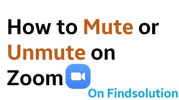 How to Mute or Unmute On Zoom
