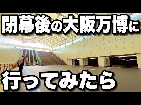 おまめTV🌱/まめちゃん - YouTube