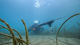 Underwater Hunting For Fish To Feed My Family - Shallow Spearfishing