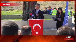 Taşınan Her Zeytin Ağacı İçin Yeni Bir Fidan: Milas’ta 4 Bin Fidan Toprakla Buluştu