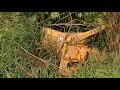 What to do! Forage harvesters, choppers, baggers What to do! Forage harvesters, choppers, baggers