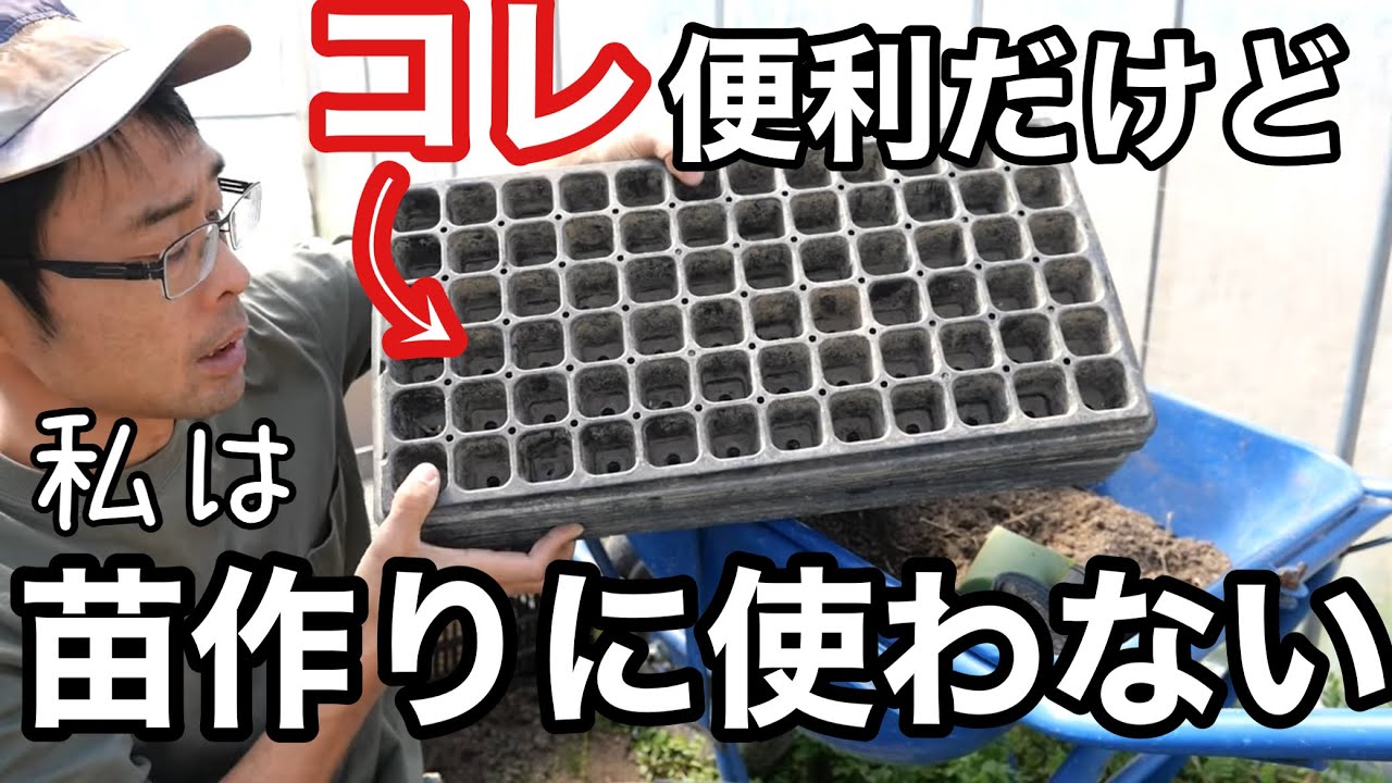 夏野菜の苗作りでセルトレーを使わない理由［ポリポット育苗/無農薬/無化学肥料/トマト/ナス/ピーマン］