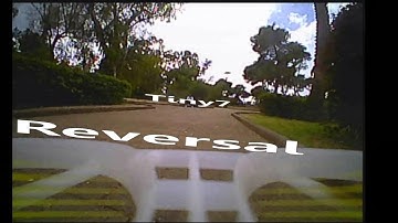KINGKONG TINY7 Reversal flight